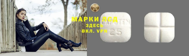 МДПВ Медвежьегорск