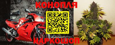 мдпв Гусь-Хрустальный