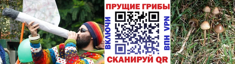 Галлюциногенные грибы Magic Shrooms  Клинцы 