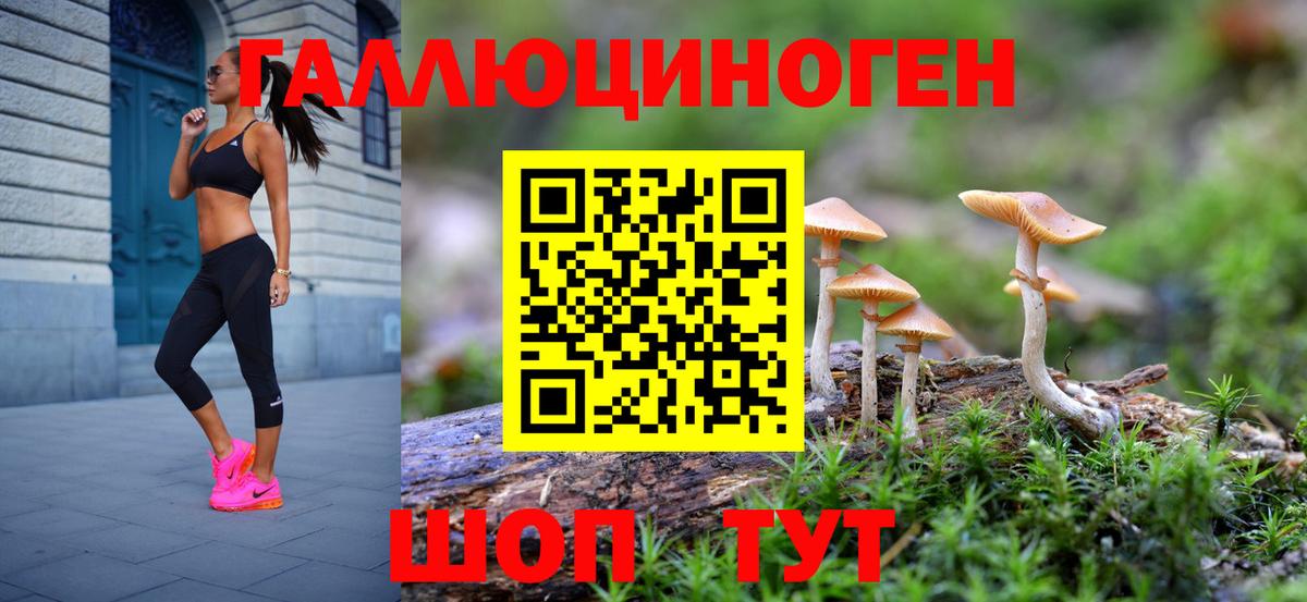 Псилоцибиновые грибы мицелий Клинцы