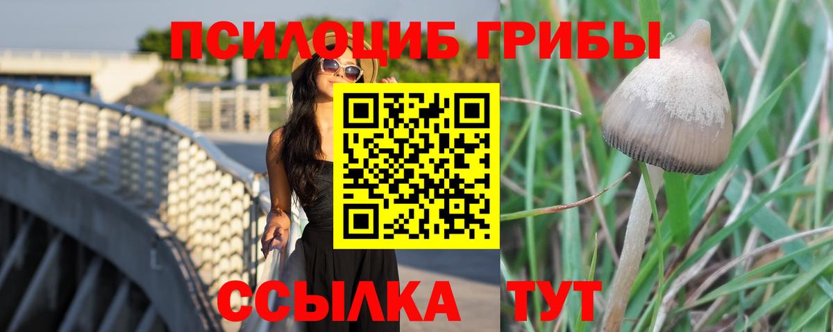 Клинцы  Галлюциногенные грибы прущие грибы  Вход с VPN  Галлюциногенные грибы Magic Shrooms 